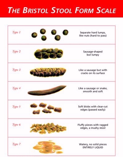 Bristol Stool Form Scale